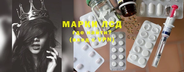 шишки Корсаков