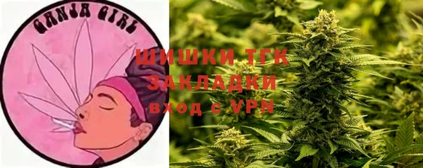 дурь Краснотурьинск