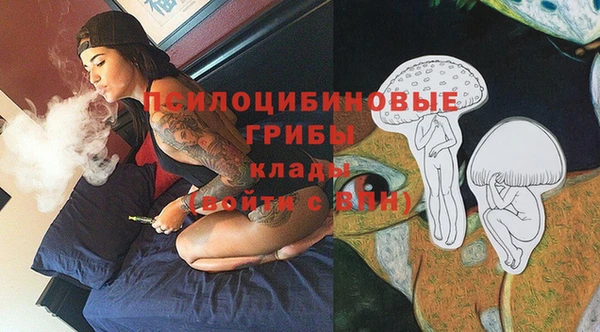 дурь Краснотурьинск
