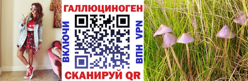 Псилоцибиновые грибы GOLDEN TEACHER  Купить  Котельники 